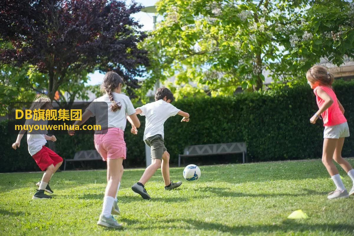 DB旗舰集团产业投资